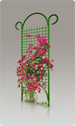 Шпалеры металлические