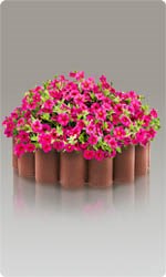 Садовые ограждения для клумб