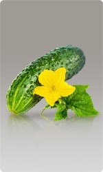 Сетка для огурцов