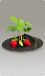 Спанбонд укрывной материал