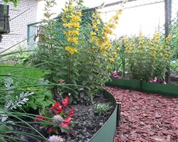 Лента бордюрная садовая Б-15 хаки 15 см х 30 м - фото 18858