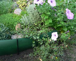 Лента бордюрная садовая Б-20 хаки 20 см х 30 м - фото 18867