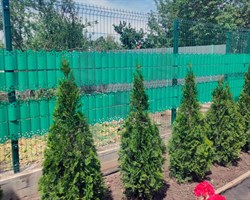 Лента бордюрная садовая Декор БД-15 зеленая 15 см х 9 м - фото 20407