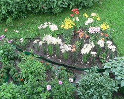 Лента бордюрная садовая Б-10 хаки 10 см х 30 м - фото 20440