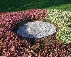 Лента бордюрная садовая БЛ-15 коричневая 15 см х 9 м - фото 20443