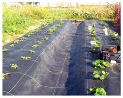 Агроткань застилочная от сорняков фасованная, плотность 100 гр/м2 (2,5 м х 5 м) - фото 20622