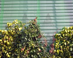 Заборная сетка решетка СР-15, 1,5*20 м, зеленая - фото 20705