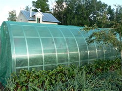 Затеняющая сетка 55% темно-зеленая 2*50 м - фото 20753