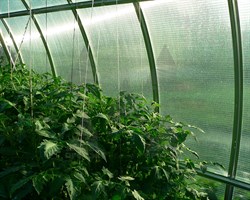 Затеняющая сетка 55% темно-зеленая 6*50 м - фото 20766