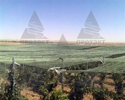 Затеняющая сетка 80% темно-зеленая 2*50 м - фото 20768