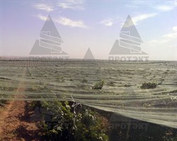 Затеняющая сетка 80% темно-зеленая 3*50 м - фото 20772