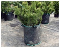 Мягкий контейнер для выращивания растений и саженцев 40х40 мм - фото 20874