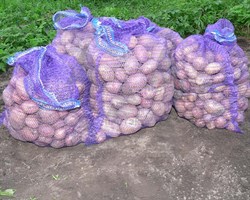 Сетка-мешок, 50х80 см - фото 20957