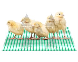 Сетка для цыплят (для поликов брудера) 0,6*30 м, зеленая - фото 21398