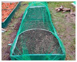 Сетка от птиц Клубничка У-7, 2*5 м - фото 21441