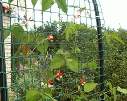 Пластиковая сетка садовая СР-50, 1*20 м, хаки - фото 21536