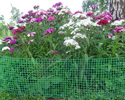 Пластиковая сетка садовая СР-50, 1*20 м, зеленая - фото 21539