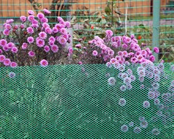 Садовая сетка для клумбы Ф-7, 0,4*10 м, зеленая - фото 21546