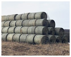 Сетка сеновязальная, 1,23x3000 м, белая - фото 22547