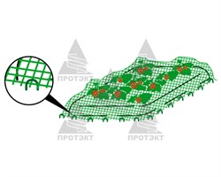 Сетка для грядок УР-30, 1*10 м, зеленый - фото 23166