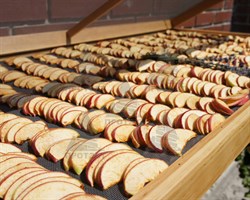 Сетка для сушки плодов Протэкт, ячейка 16*16 мм, 1*10 м, прозрачный - фото 23194