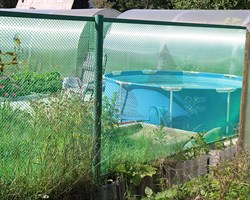 Заборная сетка решетка Ф-18, 1,6*10 м, лесной зеленый - фото 23477