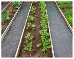 Агроткань застилочная от сорняков фасованная, плотность 100 гр/м2 (0,55 м х 20 м) - фото 23517