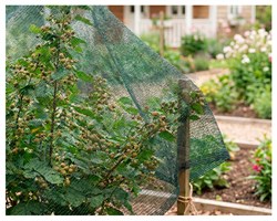Затеняющая сетка фасованная 40% 6*5 м клипсы в комплекте - фото 23785