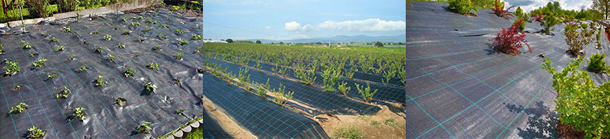 агроткань оптом