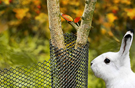 сетка для защиты саженцев оптом